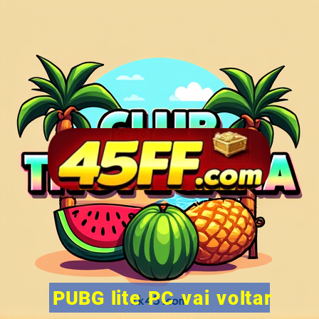 PUBG lite PC vai voltar